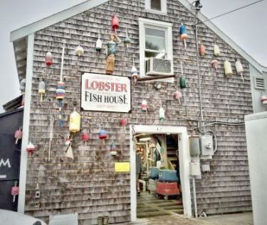 Langsford Road Lobster view from back